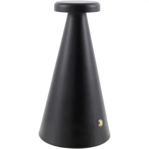 Nevis Accent Table Lamp - Livabliss