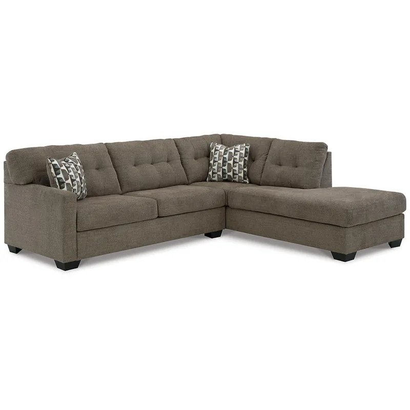 Mahoney 2-Piece Sleeper Sectional with Chaise