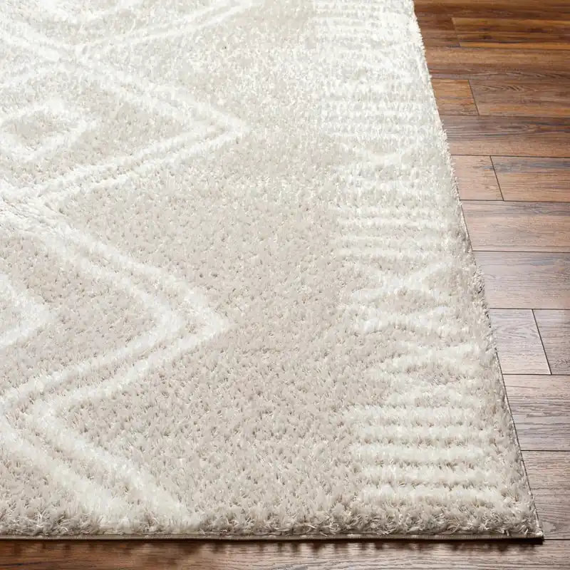 Cloudy Shag Machine Woven Rug - Livabliss