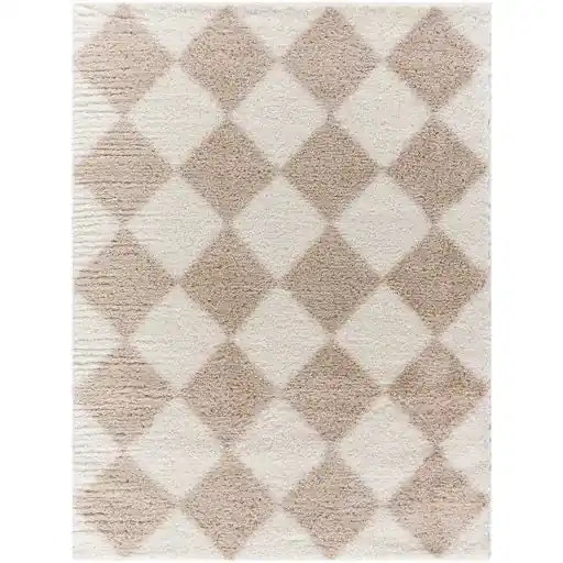 Cloudy Shag Machine Woven Rug - Livabliss
