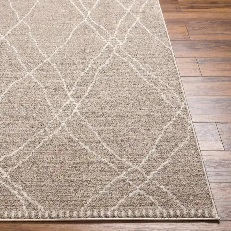 Cozy Machine Woven Rug - Livabliss