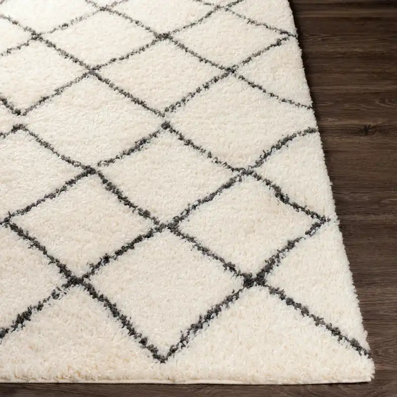 Beni Shag Machine Woven Rug - Livabliss