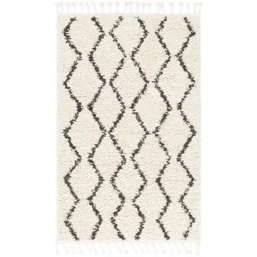 Berber Shag Machine Woven Rug - Livabliss