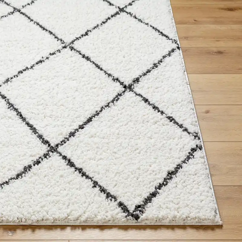 Birmingham Machine Woven Rug - Livabliss