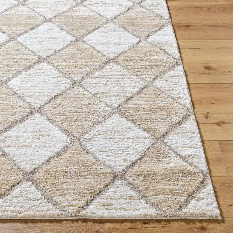 Delight Shag Machine Woven Rug - Livabliss