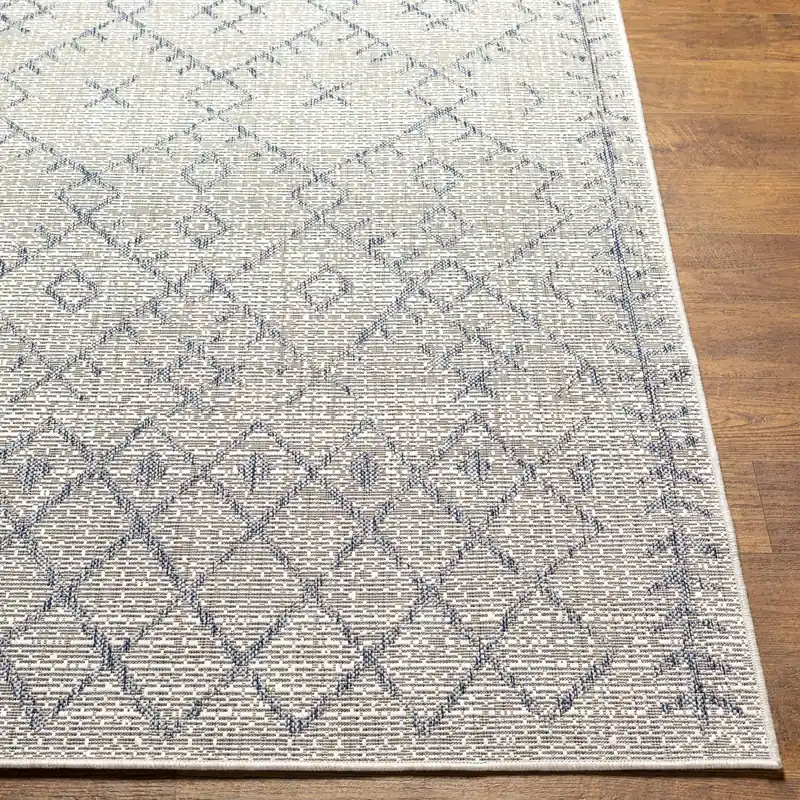 Eagean Machine Woven Rug - Livabliss