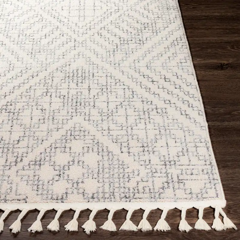 Euphoria Machine Woven Rug - Livabliss