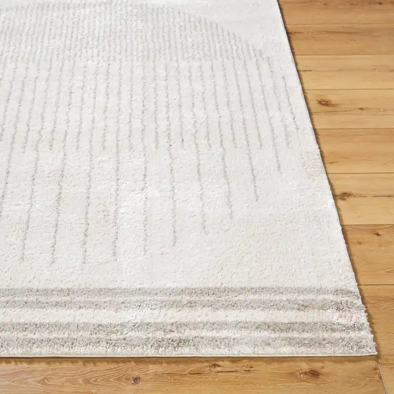 Fossay Shag Machine Woven Rug - Livabliss