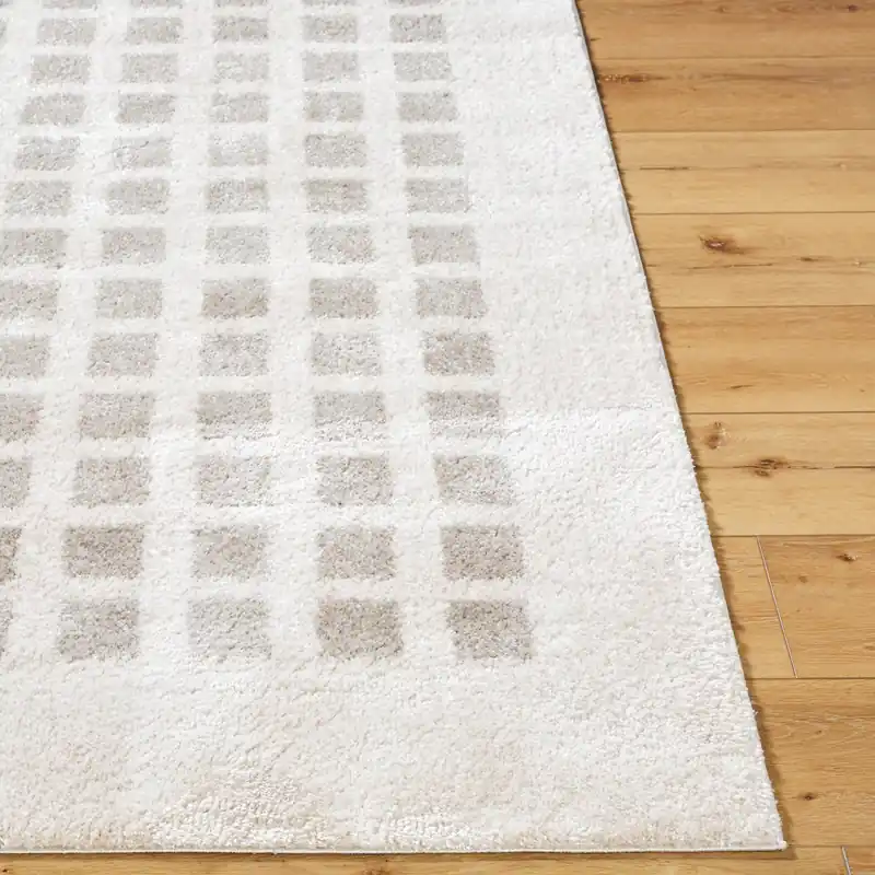 Fossay Shag Machine Woven Rug - Livabliss