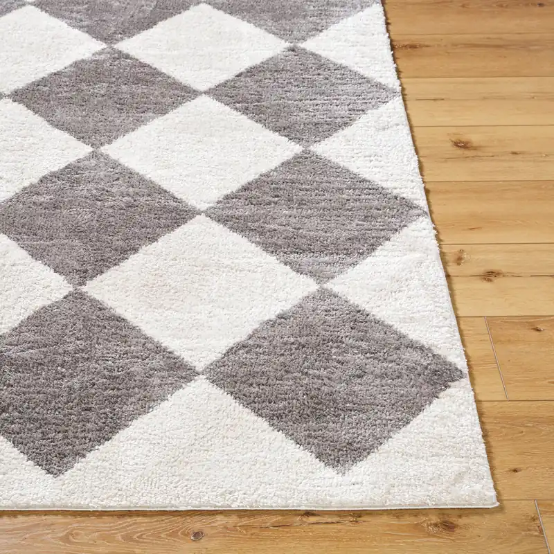 Fossay Shag Machine Woven Rug - Livabliss