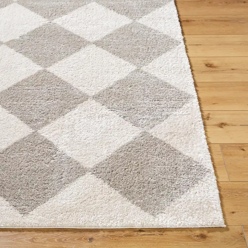 Fossay Shag Machine Woven Rug - Livabliss