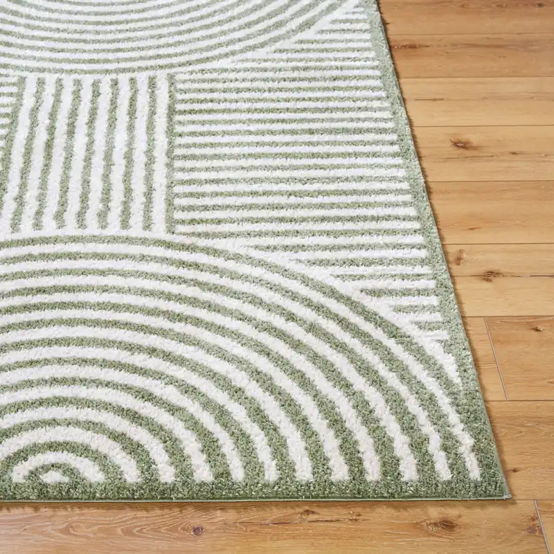 Fossay Shag Machine Woven Rug - Livabliss