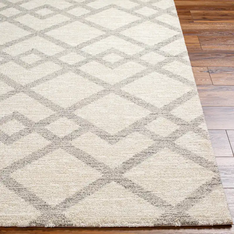 Gavic Machine Woven Rug - Livabliss