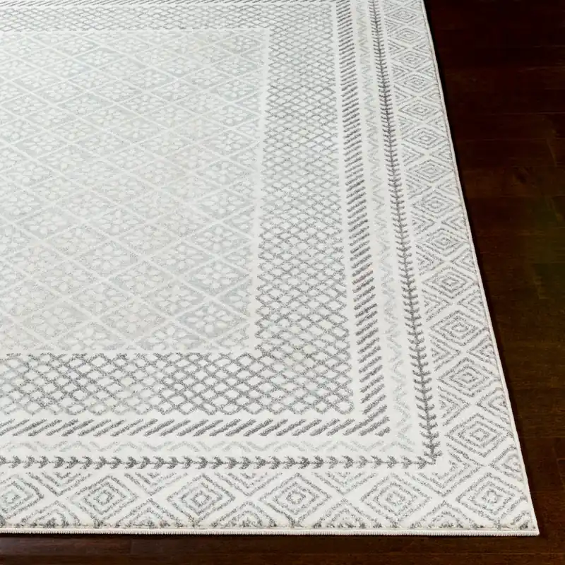 Harput Machine Woven Rug - Livabliss