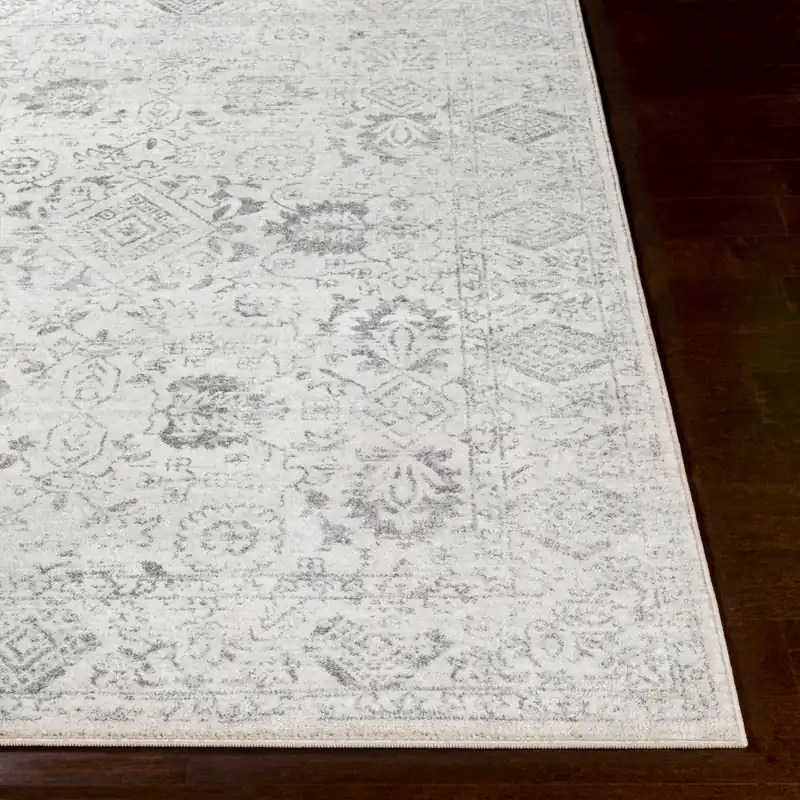Harput Machine Woven Rug - Livabliss