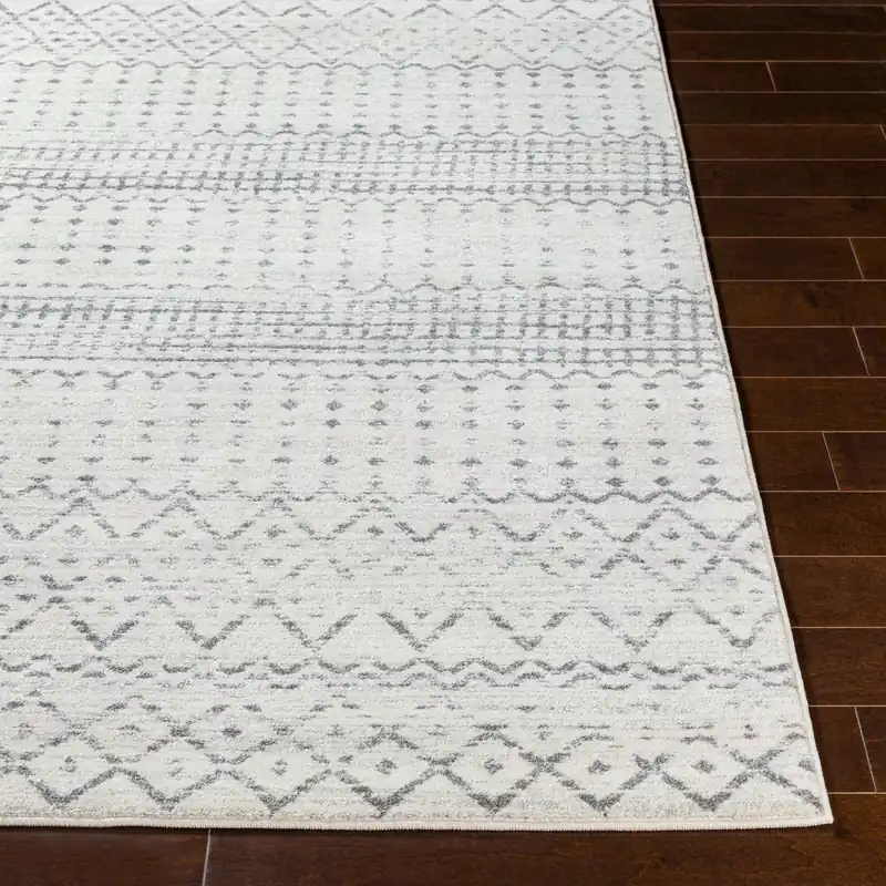 Harput Machine Woven Rug - Livabliss