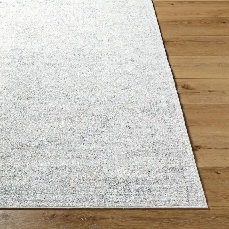 Harput Machine Woven Rug - Livabliss