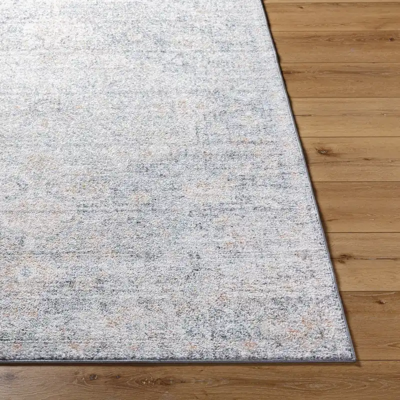 Harput Machine Woven Rug - Livabliss