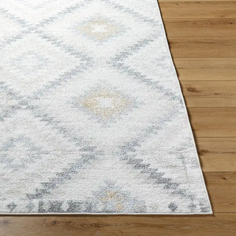 Harput Machine Woven Rug - Livabliss