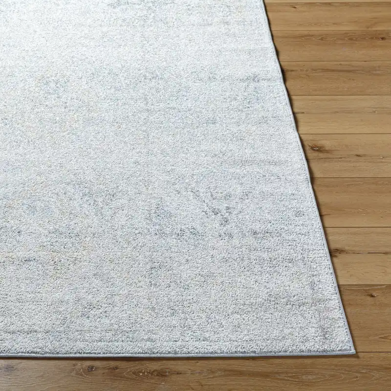 Harput Machine Woven Rug - Livabliss