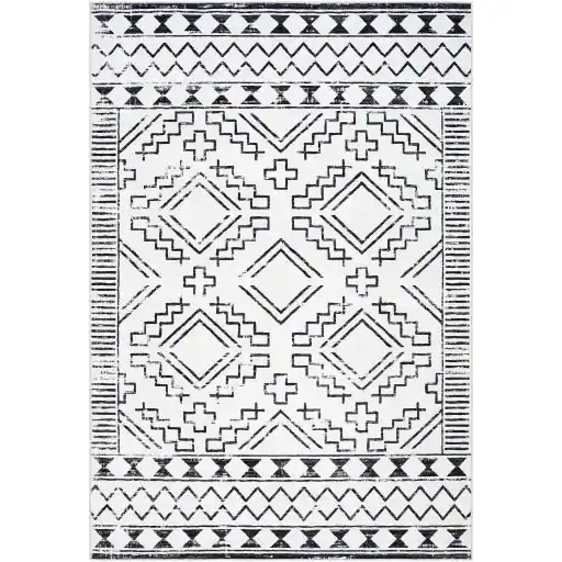 Lavable Machine Woven Rug - Livabliss