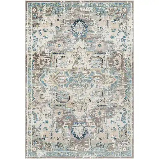Lavadora Machine Woven Rug - Livabliss
