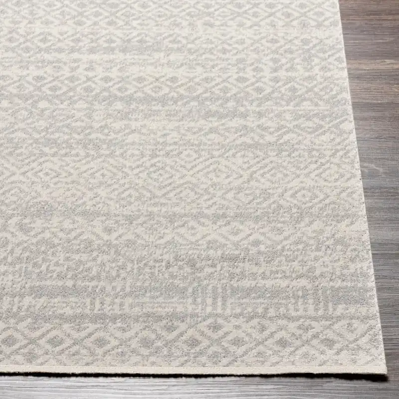 Lavadora Machine Woven Rug - Livabliss