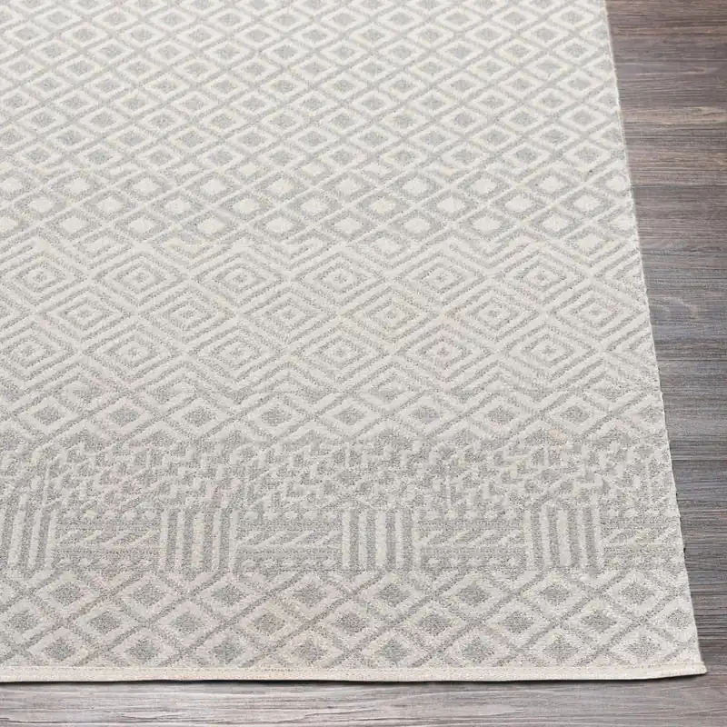 Lavadora Machine Woven Rug - Livabliss