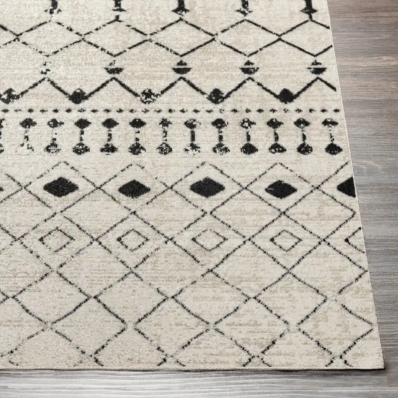 Lavadora Machine Woven Rug - Livabliss