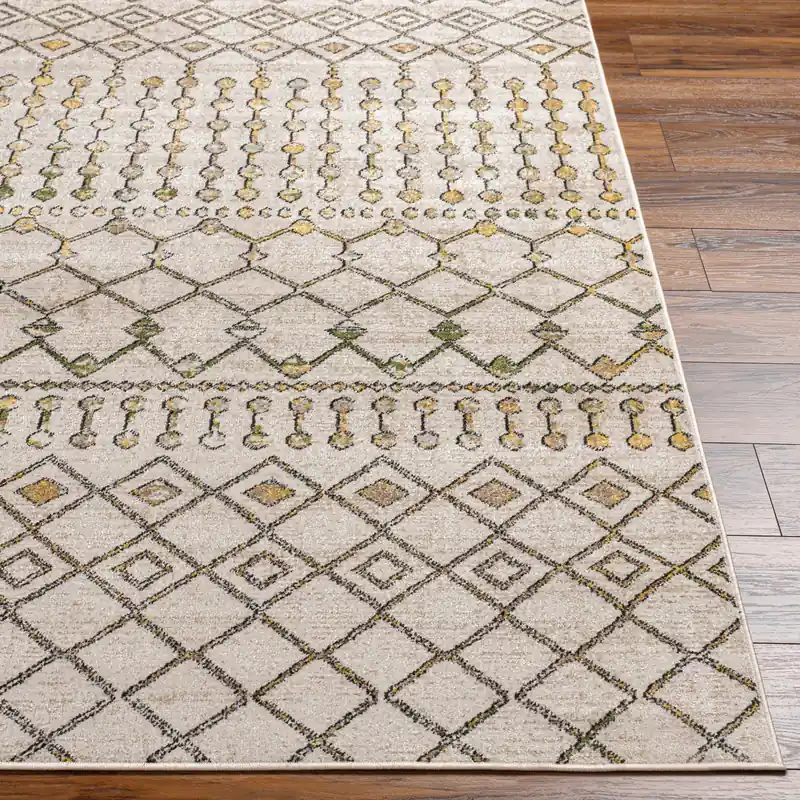 Lavadora Machine Woven Rug - Livabliss