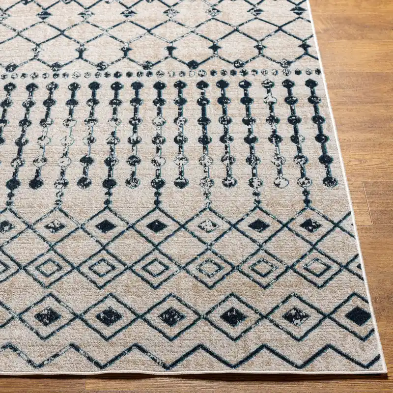 Lavadora Machine Woven Rug - Livabliss