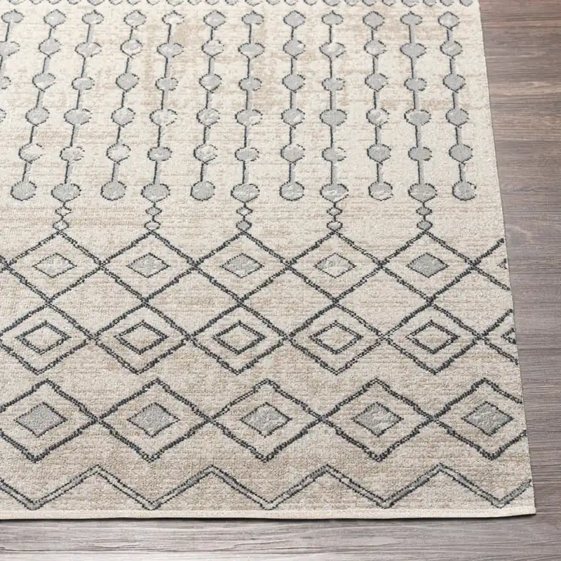 Lavadora Machine Woven Rug - Livabliss